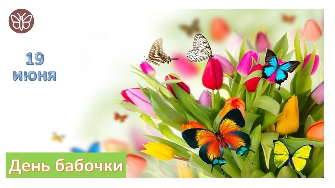 http://solbiblfil2.ucoz.ru/_ld/18/18317943.jpg